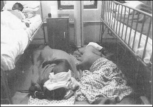 Fall after the Pride...