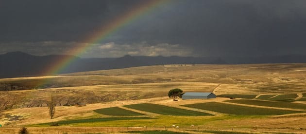 Tweespruit to the Rescue