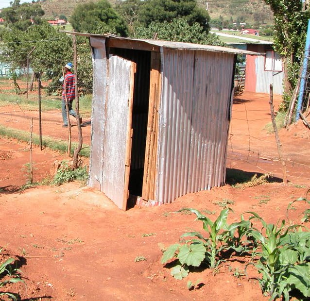 The Outhouse. On night time visits, before venturing in , one had to do a clean sweep with a torch to check for daddy long-le