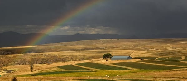 Tweespruit to the Rescue