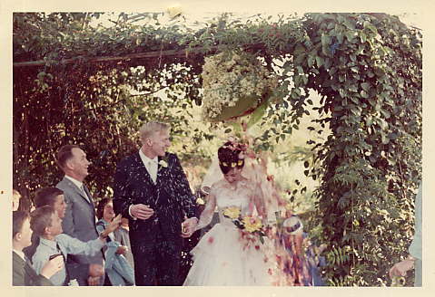 The roses grew so profusely that a rose petal confetti filled a white bougainvillea bell constructed by Mr. Nimo at the machi