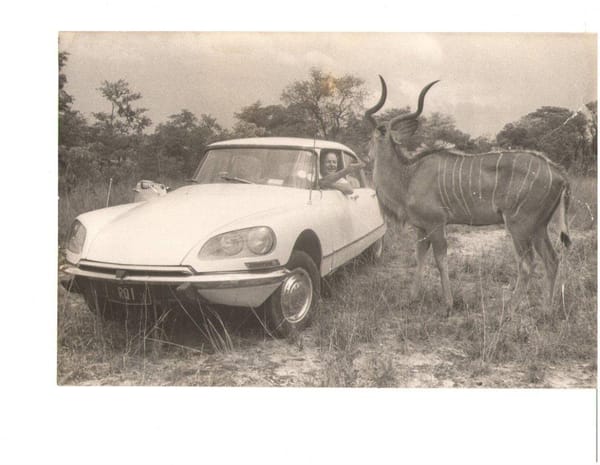 Vic Jenkinson welcoming the first kudu released into Sable Park