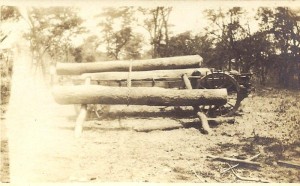 Gervas' innovative way of loading logs onto a wagon was to pull them up from the other side with oxen