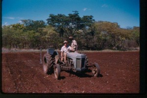 Tim and Philamon planting at Melrose Farm outside Que Que. 