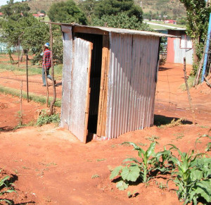 The Outhouse. On night time visits, before venturing in , one had to do a clean sweep with a torch to check for daddy long-leg spiders and snakes of various sorts.